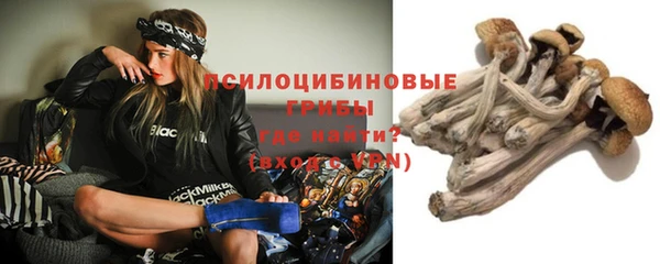 ПСИЛОЦИБИНОВЫЕ ГРИБЫ Куйбышев